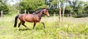 Chic M&acirc;le 2 ans 1m30
