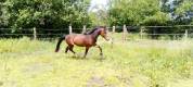 Chic M&acirc;le 2 ans 1m30