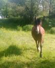 Chic M&acirc;le 2 ans 1m30