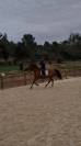 Cheval PRE