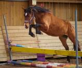 Ponette D 4 ans PFS par Quick star 