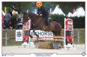Gentil Cheval pour balade et dressage 
