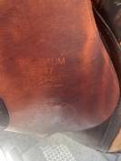 Selle mixte tendance obstacle Passier & Sohn (Hannover)