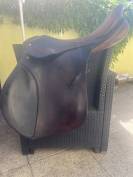 Selle mixte tendance obstacle Passier & Sohn (Hannover)