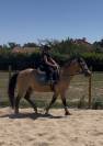 Fairplay de Chabelle - PFS - 1m45 - 11 ans par Rasmus 