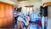 Equestrian Bed and Breakfast  Puy-de-D&ocirc;me