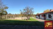 Equestrian Bed and Breakfast  Puy-de-D&ocirc;me