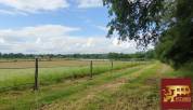 Equestrian property  Ain