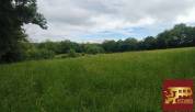Equestrian property  Ain