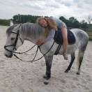 Cheval onc 2500&euro; 