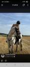 Cheval onc 2500&euro; 