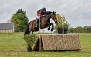 Jument pr&ecirc;te sur cci2*