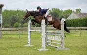 Jument pr&ecirc;te sur cci2*