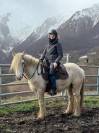 Jument Irish Cob Palomino