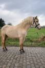 Ponette 2 ans 