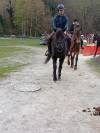 Ponette pfs D 