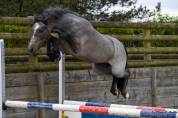 Poney 3ans 