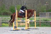 Ponette PFS Alezane 8 ans pour P&eacute;lite