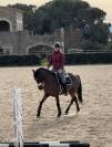 2021 Gelding (Spanish Sport Horse)