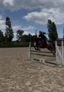 2021 Gelding (Spanish Sport Horse)