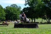 Max, hongre type welsh 1m38