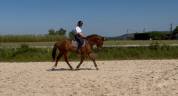 King Blue d'Azur