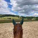 ? Places de pension disponibles &ndash; Luzy (58)