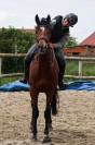 TAZ - 5ans - 1m68