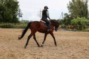 TAZ - 5ans - 1m68