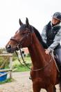 TAZ - 5ans - 1m68