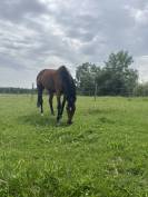 DiDi - 9ans - 1m65
