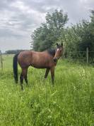 DiDi - 9ans - 1m65