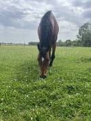 DiDi - 9ans - 1m65