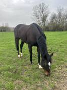 PENNY - 8ans - 1m64