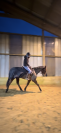 Cheval &agrave; vendre 