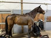 A VENDRE - EBHAR SF de 12 ans