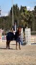 Vente poney de sport