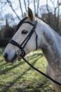 Poney de sport &agrave; vendre 