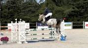 Poney de sport &agrave; vendre 