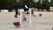 Poney de sport &agrave; vendre 