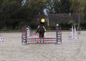 Hongre Lusitanien PP 13ans petit prix