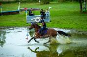 Jolie ponette pour repro et/compagnie