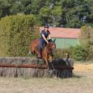 Jolie ponette pour repro et/compagnie