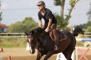 Cheval &agrave; donner ( 200&euro; pour la validation)