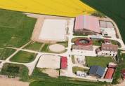 Location de 7 &agrave; 13 boxes au Haras du Morin (77-Rebais)