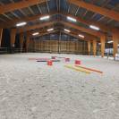 Location de 7 &agrave; 13 boxes au Haras du Morin (77-Rebais)