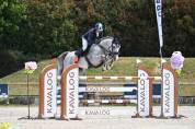 Hongre de 7ans performer Gp 1m40