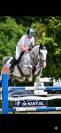 Hongre de 7ans performer Gp 1m40