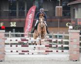 Cheval de loisirs adapt&eacute; &agrave; toute la famille
