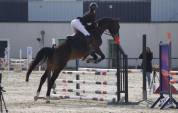 Hongre 5ans SF
